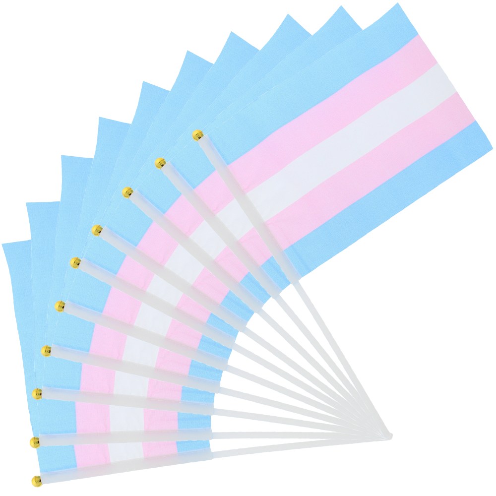 Zac's Alter Ego - Handheld Transgender 30 x 16.5cm Flagge - Mehrfarben